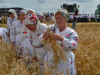 Казанская летняя (Прокопьев день, Зажинки)