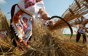 Казанская летняя (Прокопьев день, Зажинки)