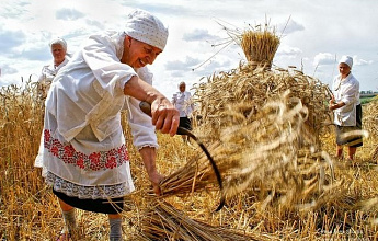 Казанская летняя (Прокопьев день, Зажинки)