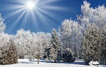 Праздник зимнего солнцестояния Дунчжицзе