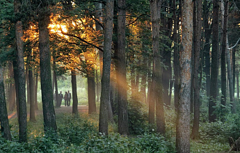 Александрино