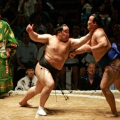 Японская народная борьба «Сумо»