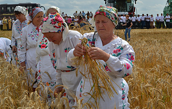 Казанская летняя (Прокопьев день, Зажинки)