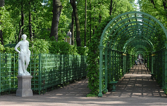 Летний сад
