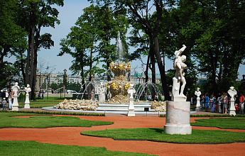 Летний сад
